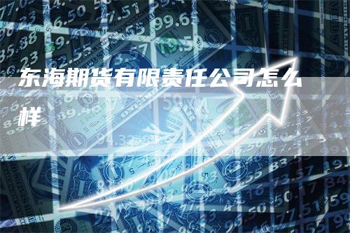 东海期货有限责任公司怎么样_https://www.gkizvl.com_期货百科_第1张