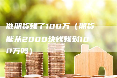 做期货赚了100万（期货能从2000块钱赚到100万吗）_https://www.gkizvl.com_期货百科_第1张