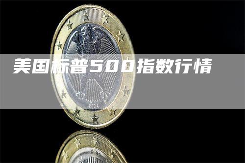 美国标普500指数行情_https://www.gkizvl.com_期货喊单_第1张