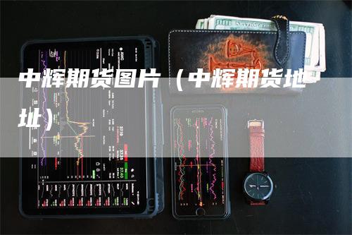 中辉期货图片（中辉期货地址）_https://www.gkizvl.com_期货百科_第1张