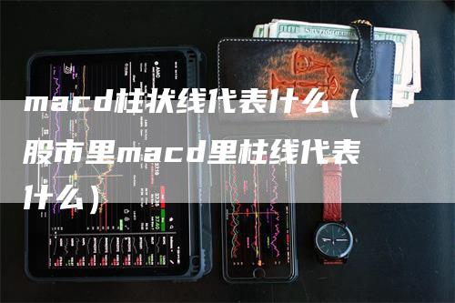 macd柱状线代表什么（股市里macd里柱线代表什么）_https://www.gkizvl.com_期货培训_第1张