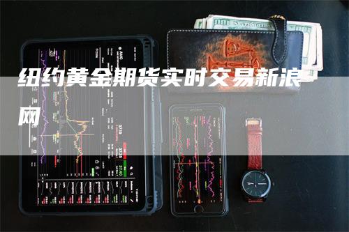 纽约黄金期货实时交易新浪网_https://www.gkizvl.com_期货技术_第1张