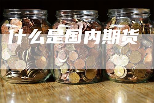 什么是国内期货_https://www.gkizvl.com_期货百科_第1张