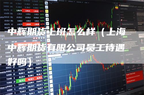 中辉期货上班怎么样（上海中辉期货有限公司员工待遇好吗）_https://www.gkizvl.com_期货百科_第1张