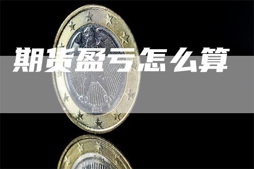 期货盈亏怎么算_https://www.gkizvl.com_期货交易_第1张