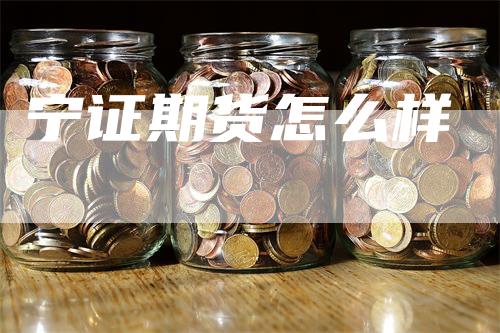 宁证期货怎么样_https://www.gkizvl.com_期货技术_第1张