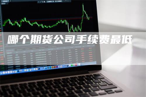 哪个期货公司手续费最低_https://www.gkizvl.com_期货百科_第1张