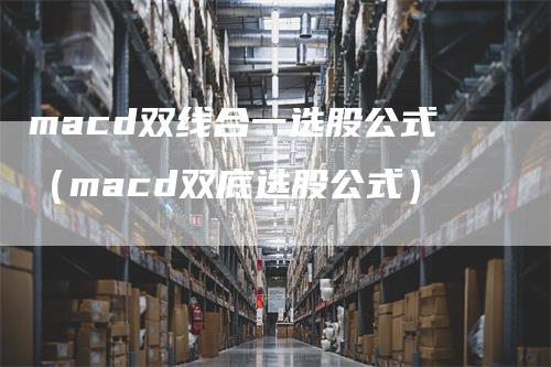 macd双线合一选股公式（macd双底选股公式）_https://www.gkizvl.com_期货培训_第1张