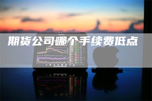 期货公司哪个手续费低点_https://www.gkizvl.com_期货交易_第1张