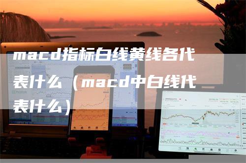 macd指标白线黄线各代表什么（macd中白线代表什么）_https://www.gkizvl.com_期货培训_第1张