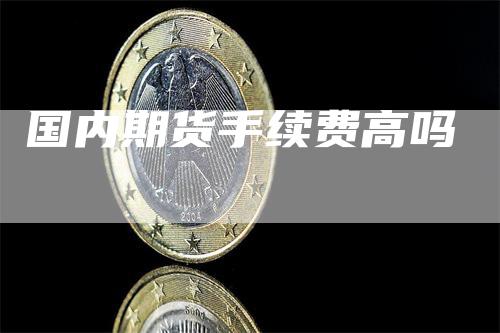 国内期货手续费高吗_https://www.gkizvl.com_期货技术_第1张