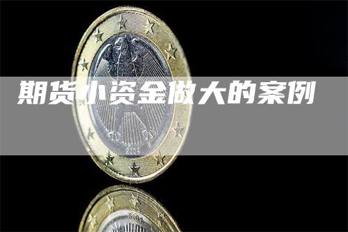 期货小资金做大的案例_https://www.gkizvl.com_期货直播_第1张