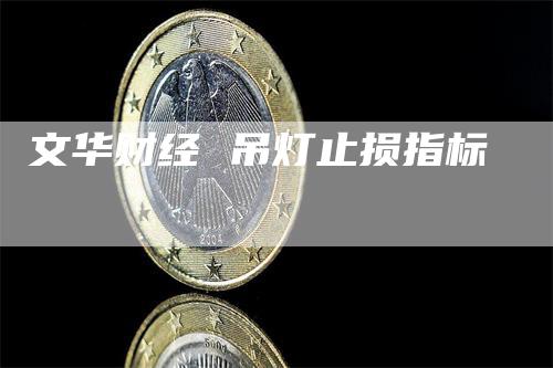 文华财经 吊灯止损指标_https://www.gkizvl.com_期货入门_第1张