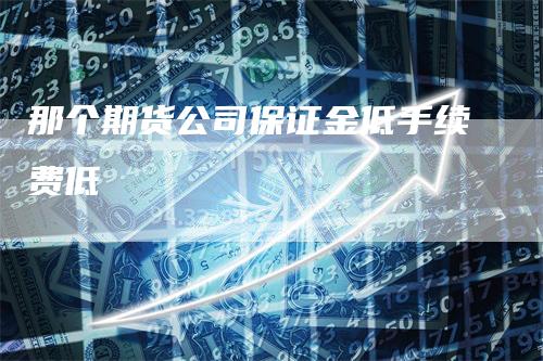 那个期货公司保证金低手续费低_https://www.gkizvl.com_期货交易_第1张