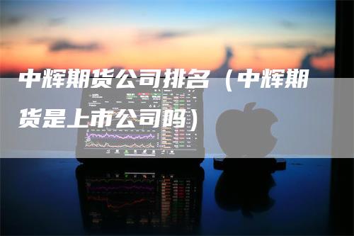 中辉期货公司排名（中辉期货是上市公司吗）_https://www.gkizvl.com_期货公司_第1张