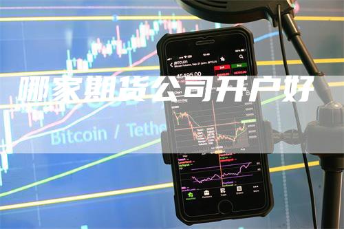 哪家期货公司开户好_https://www.gkizvl.com_国际期货_第1张