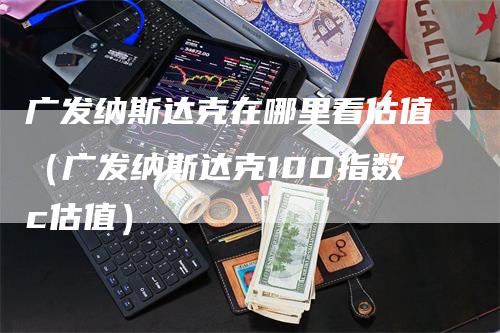 广发纳斯达克在哪里看估值（广发纳斯达克100指数c估值）_https://www.gkizvl.com_纳指期货_第1张