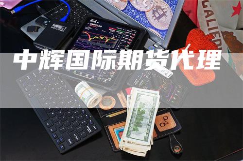 中辉国际期货代理_https://www.gkizvl.com_内盘期货_第1张