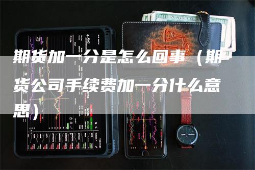 期货加一分是怎么回事（期货公司手续费加一分什么意思）_https://www.gkizvl.com_期货百科_第1张