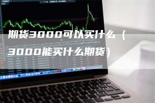 期货3000可以买什么（3000能买什么期货）_https://www.gkizvl.com_期货百科_第1张