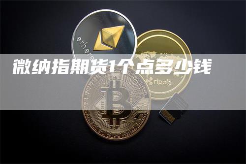 微纳指期货1个点多少钱_https://www.gkizvl.com_期货百科_第1张