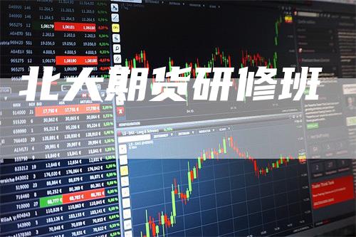 北大期货研修班_https://www.gkizvl.com_期货技术_第1张