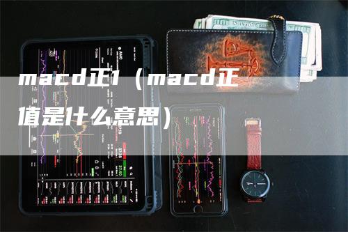 macd正1（macd正值是什么意思）_https://www.gkizvl.com_期货培训_第1张