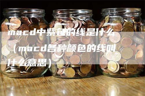 macd中紫色的线是什么（macd各种颜色的线叫什么意思）_https://www.gkizvl.com_期货培训_第1张