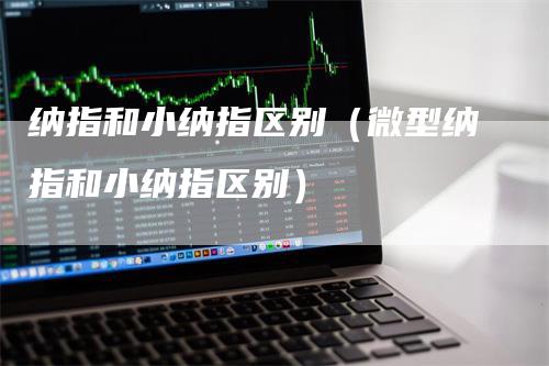 纳指和小纳指区别（微型纳指和小纳指区别）_https://www.gkizvl.com_纳指期货_第1张