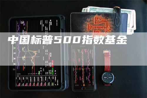 中国标普500指数基金_https://www.gkizvl.com_期货百科_第1张