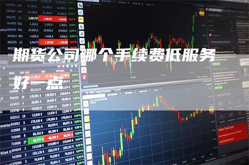 期货公司哪个手续费低服务好一点_https://www.gkizvl.com_期货喊单_第1张