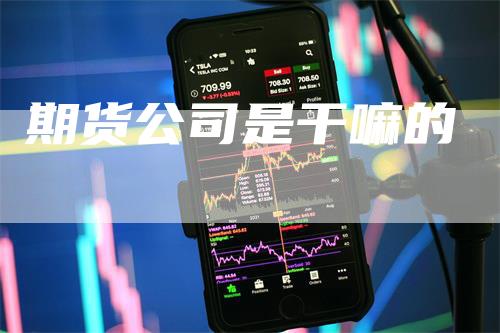 期货公司是干嘛的_https://www.gkizvl.com_期货交易_第1张