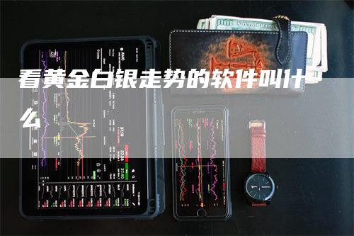 看黄金白银走势的软件叫什么_https://www.gkizvl.com_期货平台_第1张