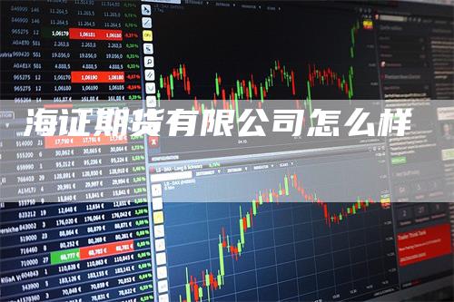 海证期货有限公司怎么样_https://www.gkizvl.com_期货平台_第1张