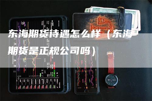 东海期货待遇怎么样（东海期货是正规公司吗）_https://www.gkizvl.com_期货百科_第1张