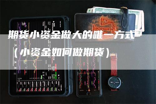 期货小资金做大的唯一方式（小资金如何做期货）_https://www.gkizvl.com_期货百科_第1张