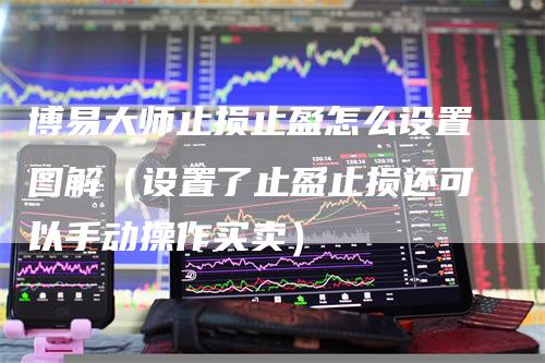 博易大师止损止盈怎么设置图解（设置了止盈止损还可以手动操作买卖）_https://www.gkizvl.com_期货入门_第1张