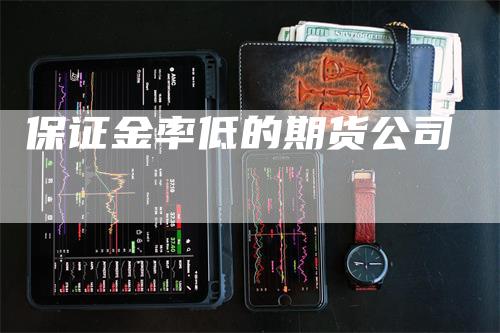 保证金率低的期货公司_https://www.gkizvl.com_内盘期货_第1张