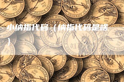 小纳指代码（纳指代码是啥）_https://www.gkizvl.com_纳指期货_第1张