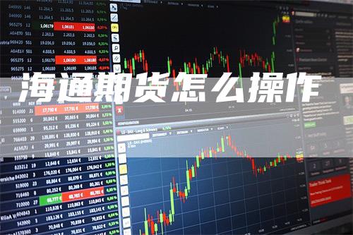 海通期货怎么操作_https://www.gkizvl.com_期货喊单_第1张