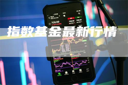 指数基金最新行情_https://www.gkizvl.com_内盘期货_第1张