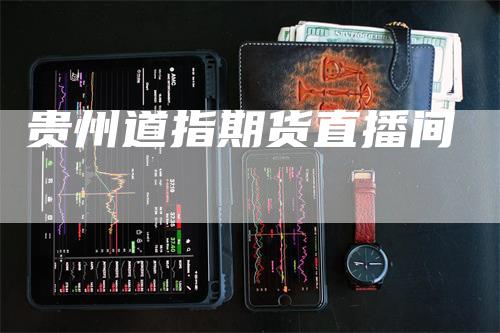 贵州道指期货直播间_https://www.gkizvl.com_期货平台_第1张